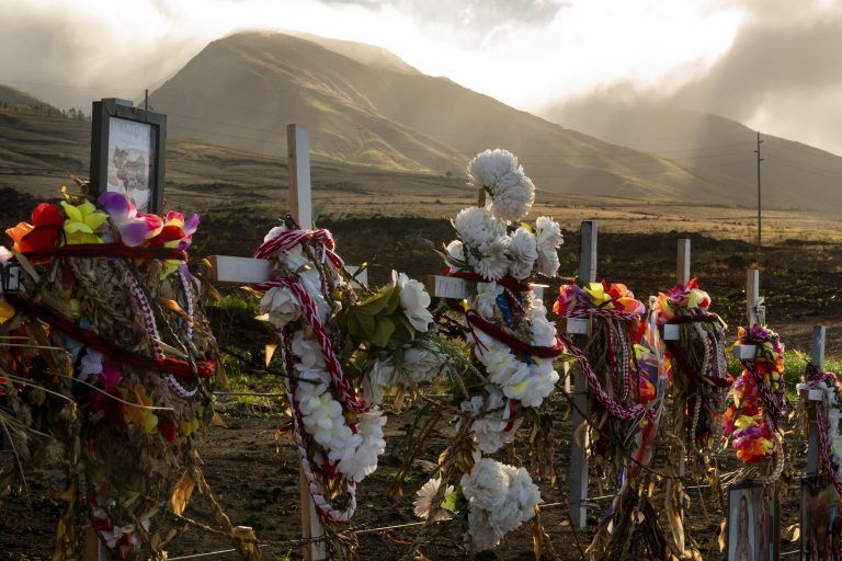 Hawaii Wildfire The Vulnerable