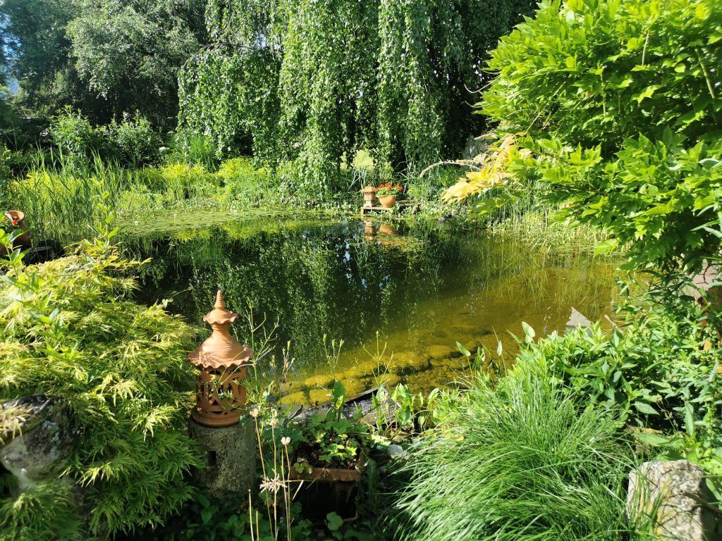 Flora 2024: Himmlisches Wasserparadies