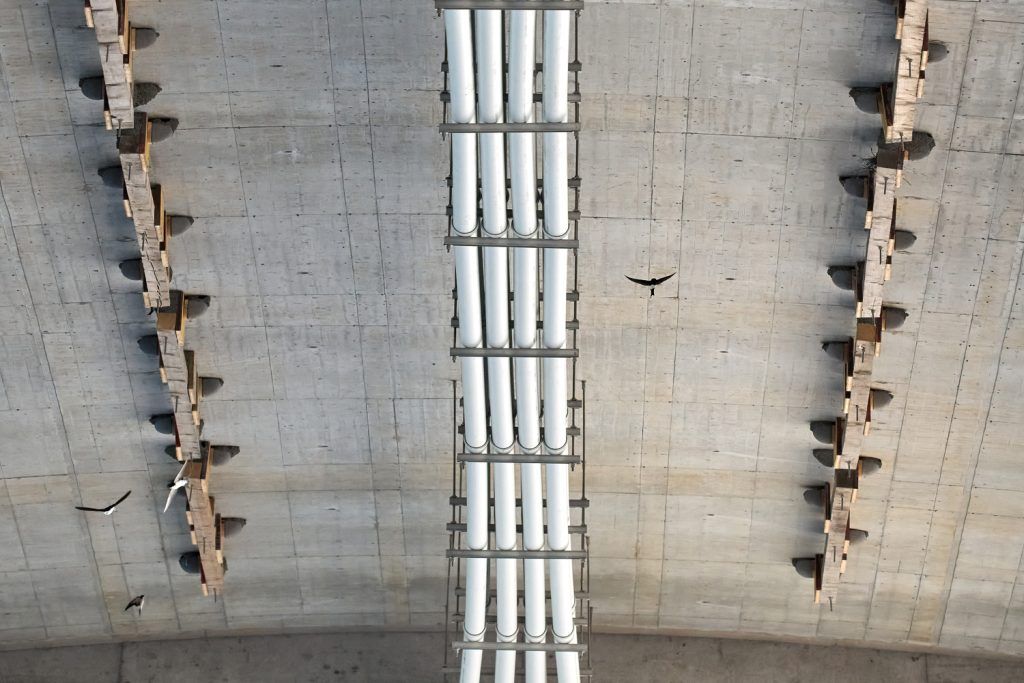 Wie eine Brücke zum Paradies für Schwalben wurde