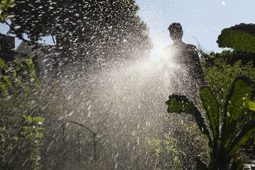Gartentipp: Weniger gießen, mehr genießen