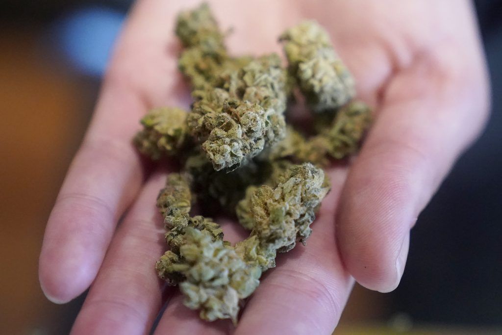 Keine Strafe trotz drei Kilo Marihuana