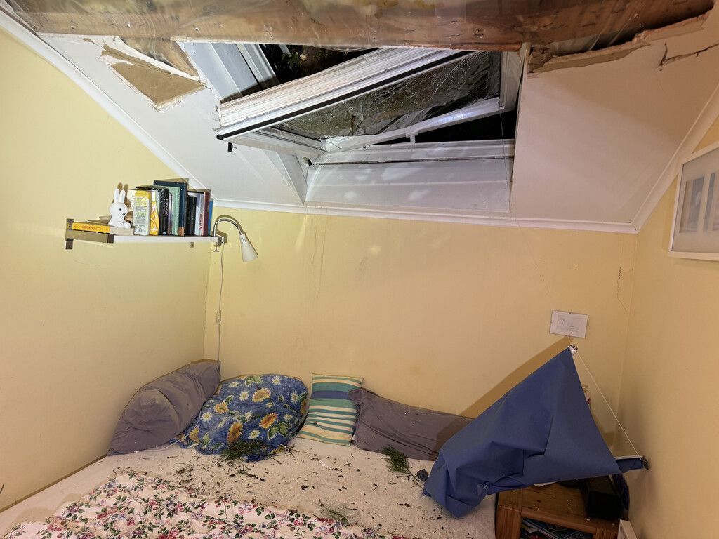 Baum kracht in Kinderzimmer, während Familie zu Abend isst