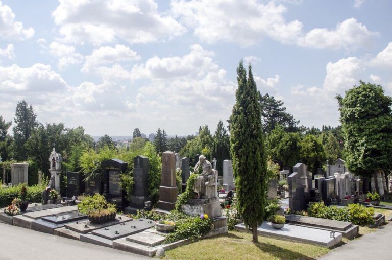 (c) Christian MUELLER - Wien, 01.07.2014 - Friedhof Wien Grinzing. FOTO: Christian MUELLER,sujet