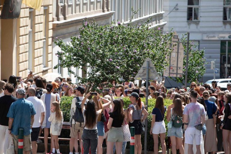 Fans of US singer Taylor Swift - swifties - stand and sing around the Swiftie Tree in Cornelius Strasse street in Vienna, Austria, on August 8, 2024. A 19-year-old Islamic State sympathiser planned a suicide attack at a Taylor Swift concert in Vienna designed to kill many people, the country's intelligence agency said. Austrian authorities detained two suspects for allegedly plotting to attack this week's Vienna concerts by the US star, which organisers cancelled at the last minute. (Photo by Alex HALADA / AFP)