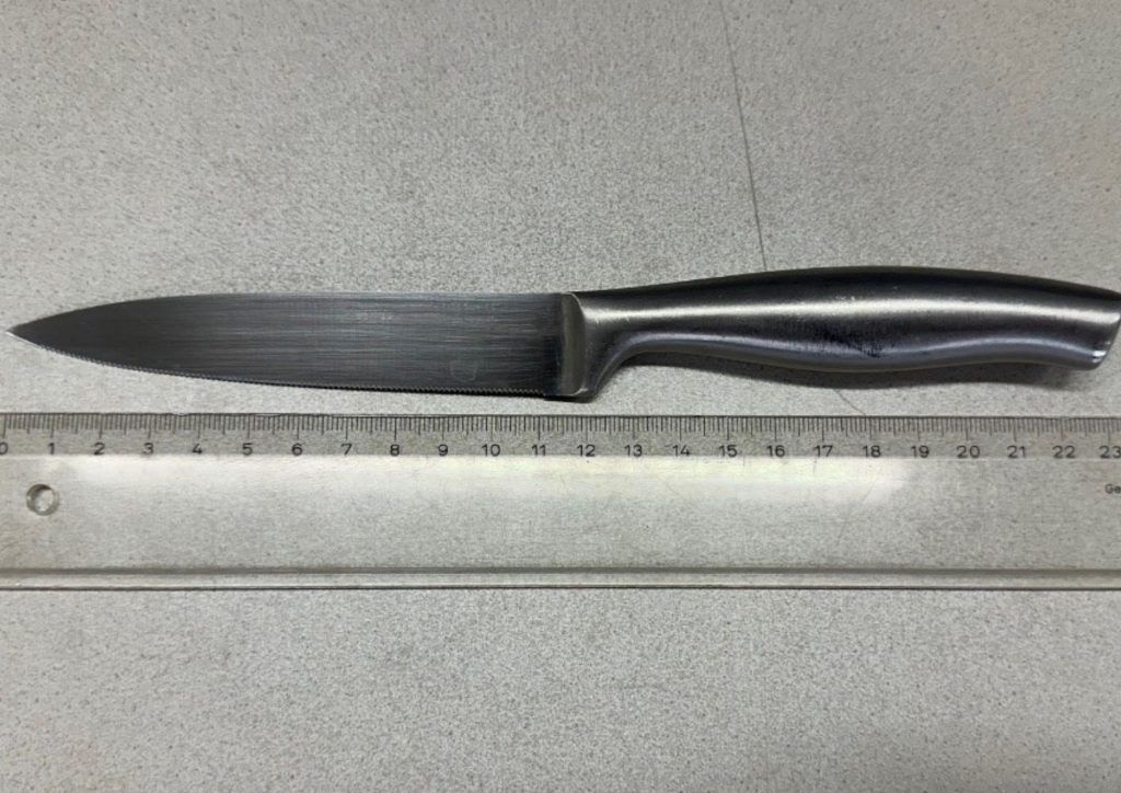 Wiener nach dreifachem Mordversuch in Lokal vor Gericht
