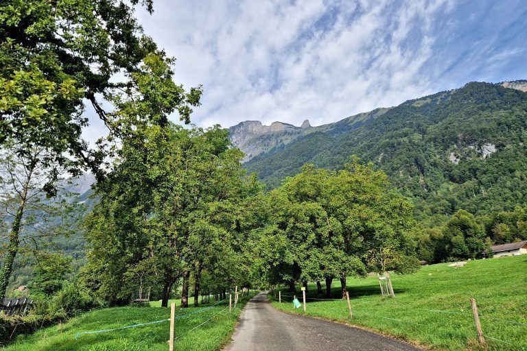 Wandertipp 549