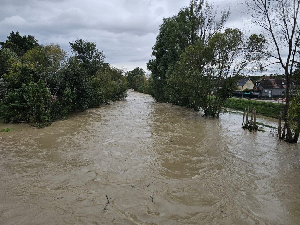 Hochwasser-Entwarnung für Neusiedl am See