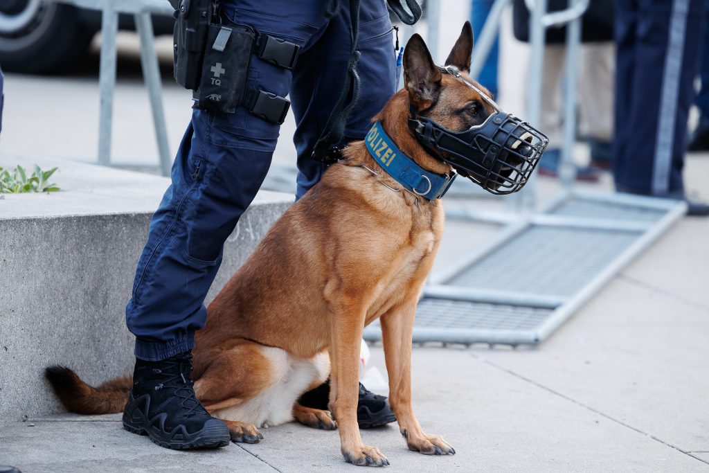 Polizeihündin schnüffelt Einbrecher aus