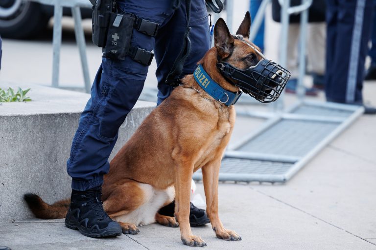 ABD0127_20240318 – WIEN –
STERREICH: ++ THEMENBILD ++ Ein Polizeihund anlsslich eines Medientermins der Landespolizeidirektion Wien “Schwerpunktaktion der Wiener Polizei in Wien-Favoriten” aam Montag, 18. Mrz 2024, am Reumannplatz in Wien. – FOTO: APA/FLORIAN WIESER