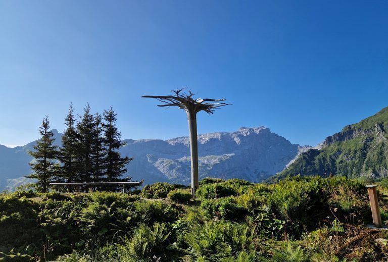 Wandertipp Gauertal