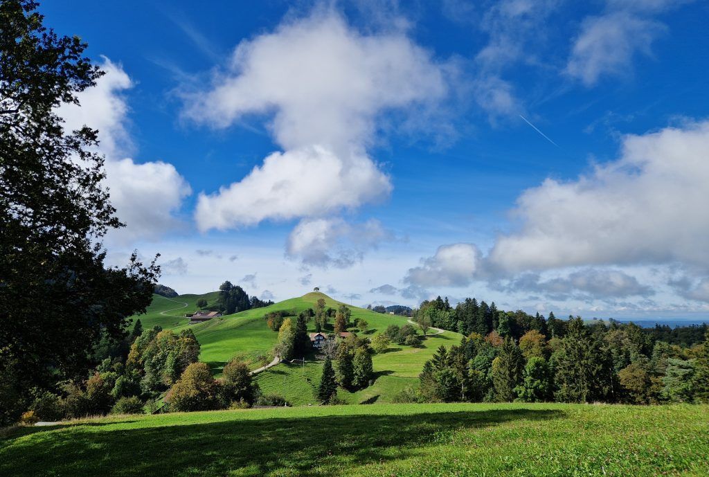 Bier und Barock in Fischingen