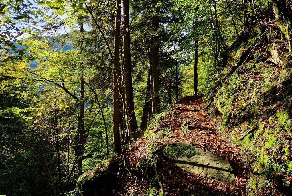 Herbstliche Farben im Walsertal
