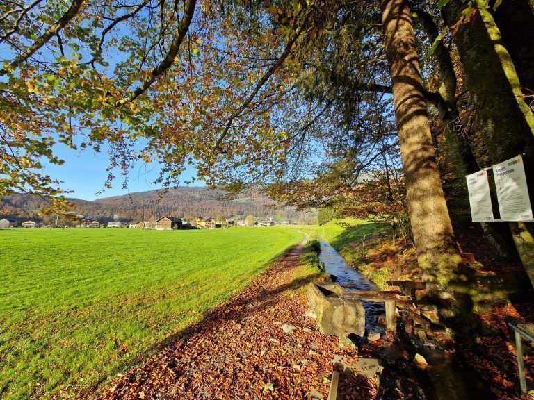 Wandertipp 554