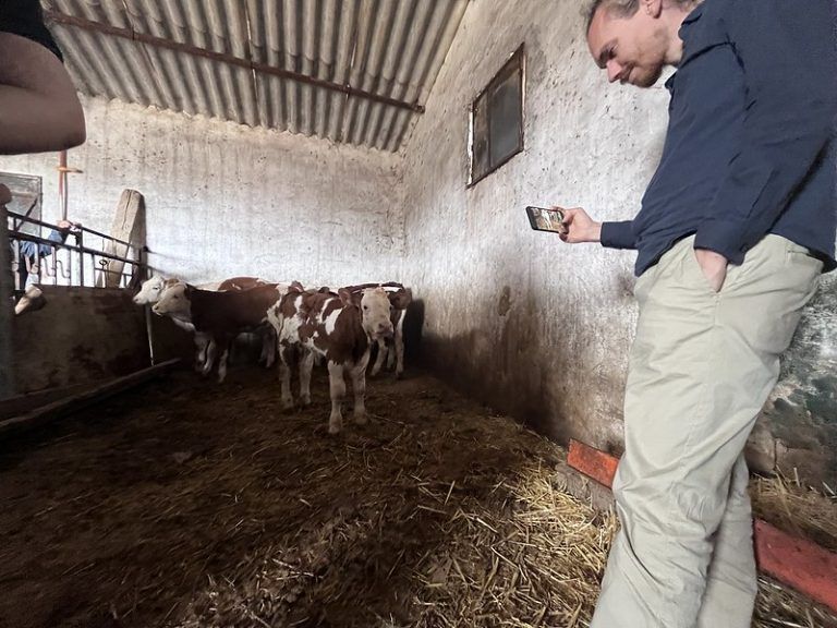 Recherche Tiertransporte Algerien