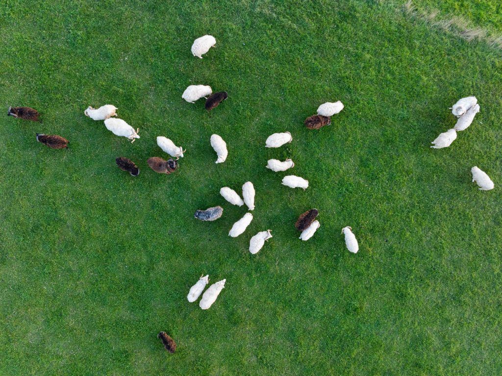 Österreicher vertrauen Entwicklung des Landes nicht