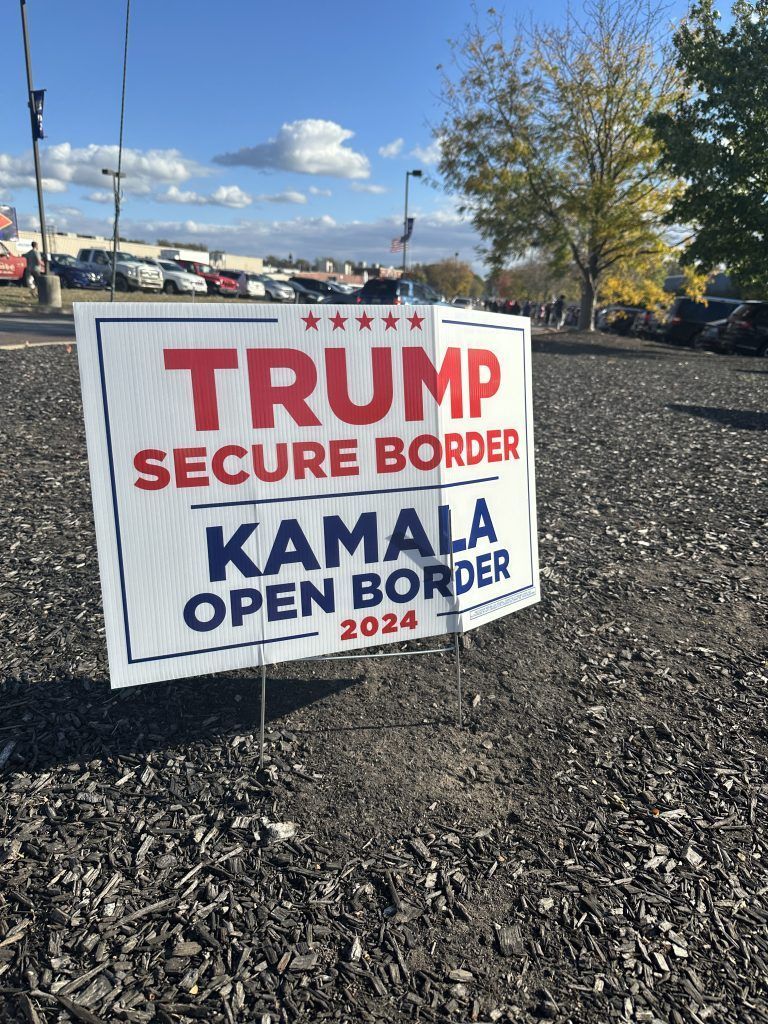 Nina Tomaselli USA