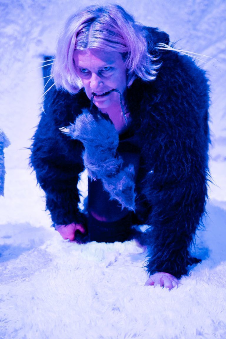 Die Katze Elenore unpop
