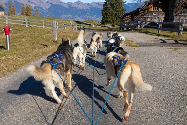 Ein Leben für die Hoffnung anderer