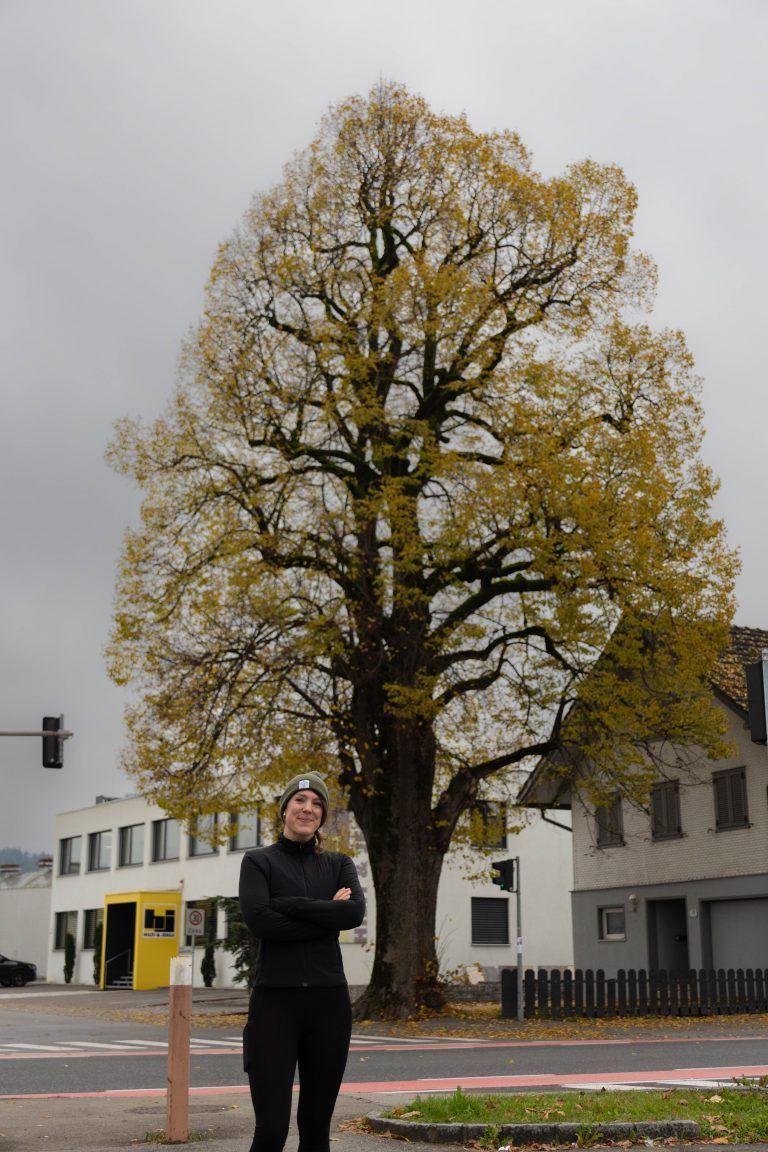Muss dieser Baum einem Kreuzungsumbau weichen? Helena Schütte will "Lala, die Linde" retten