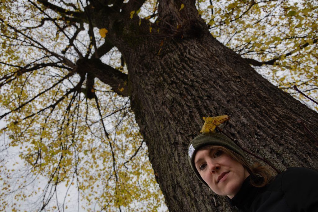 Muss dieser Baum einem Kreuzungsumbau weichen? Helena Schütte will &#8220;Lala, die Linde&#8221; retten