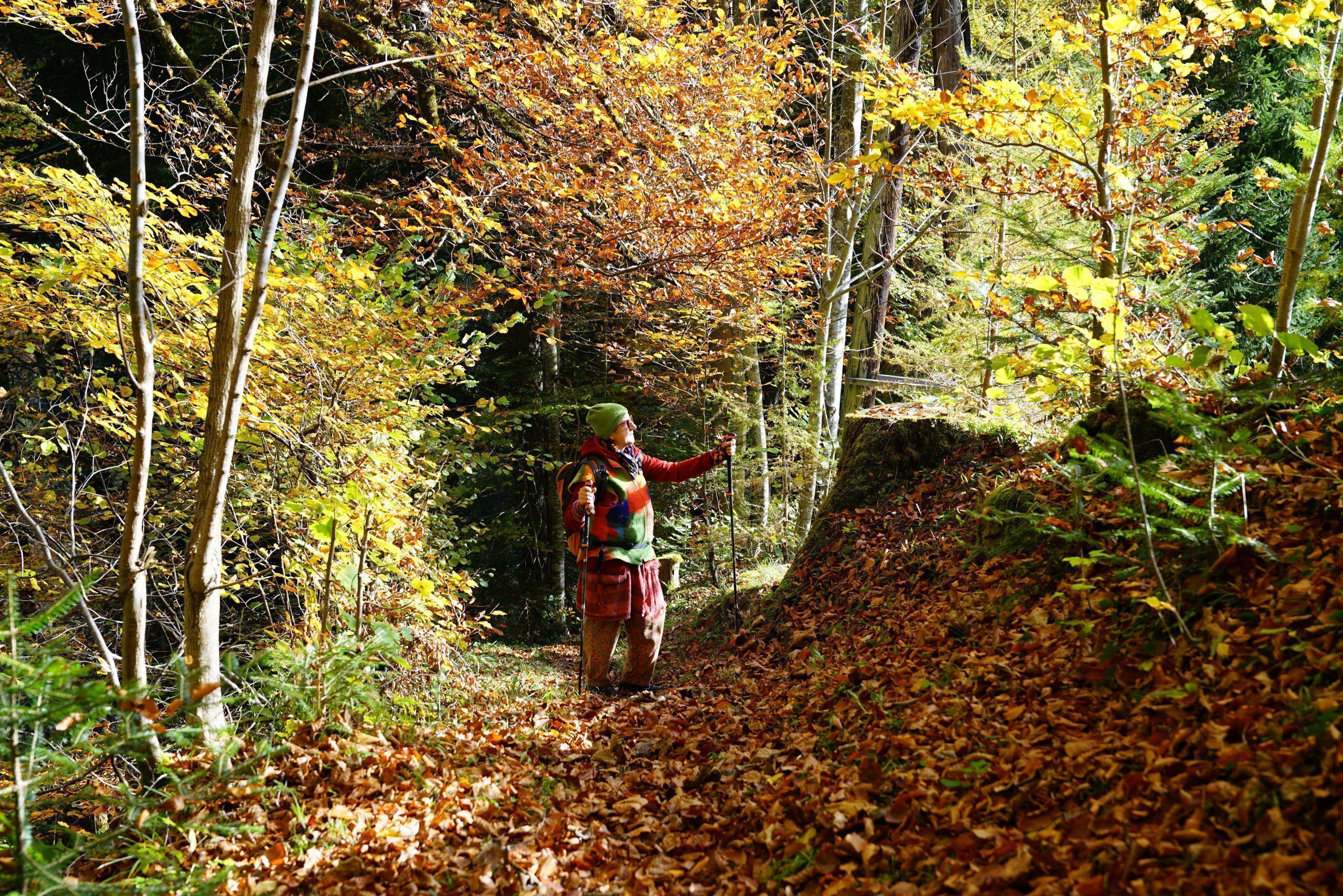 Wandertipp-Raggal