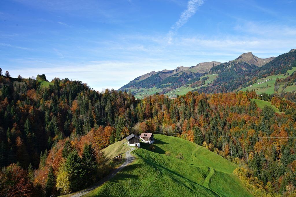 Holzbrücke mit ganz viel Geschichte