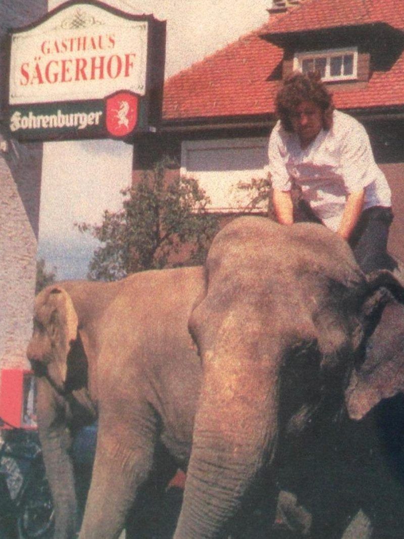 Michael Hirschauer, Rössle, Elefantenohr, Schnitzel