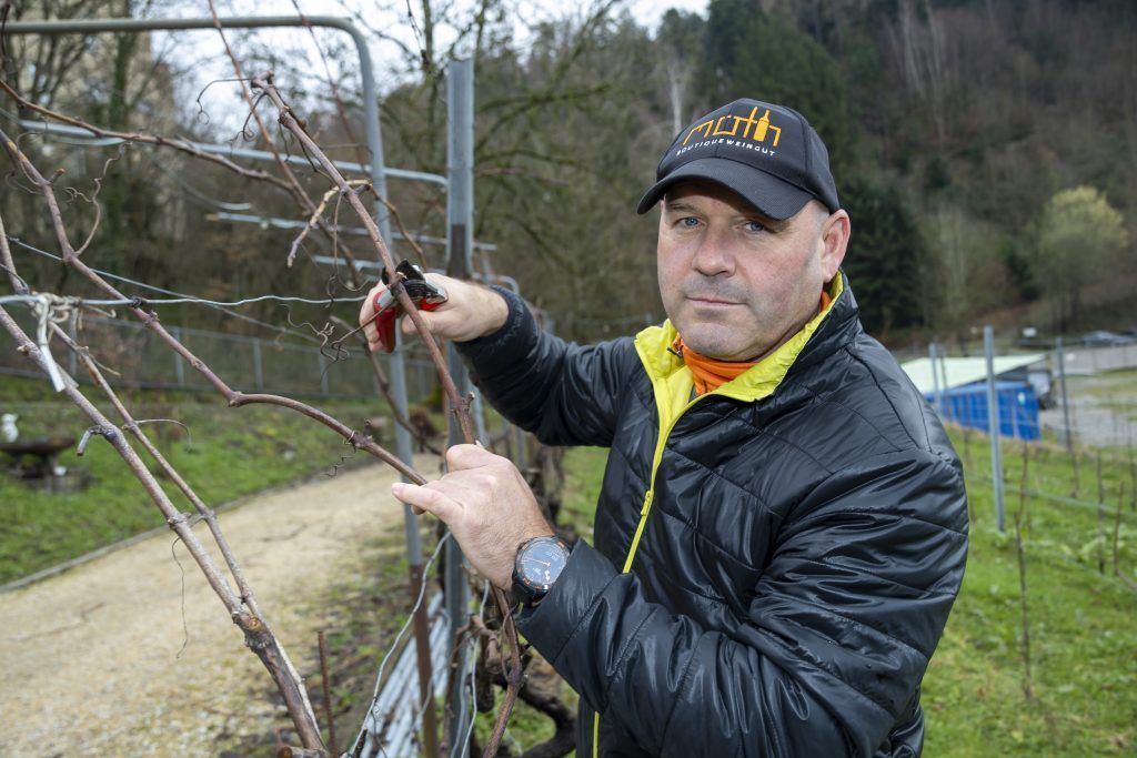 Verendete Vögel sind &#8220;Kollateralschäden&#8221;