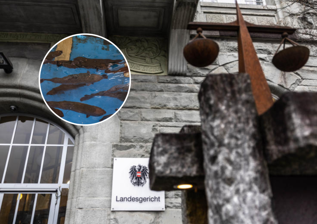 Schwarzfischer quälten zwei lebende Forellen