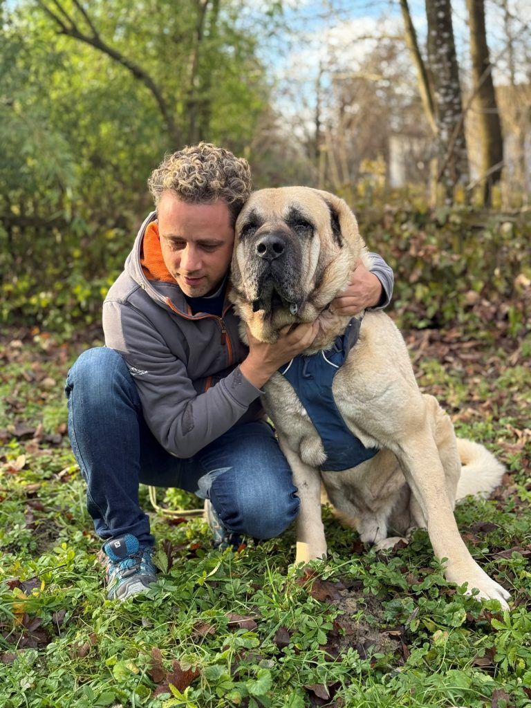 Angstfreier Jahreswechsel für Tiere