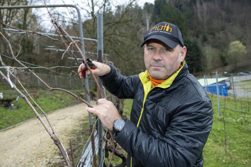 Tierquälerei-Vorwurf: Urteil gegen Winzer Möth gesprochen