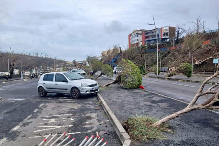 This photograph shows unrooted trees on a street after the cyclone Chido hit France's Indian Ocean territory of Mayotte, on December 14, 2024 in the capital Mamoudzou. At least 14 people were killed in Mayotte when a fierce cyclone battered the French Indian Ocean territory, authorities said on December 15, 2024, with officials warning it will take days to know the full toll. (Photo by Daniel MOUHAMADI / AFP)