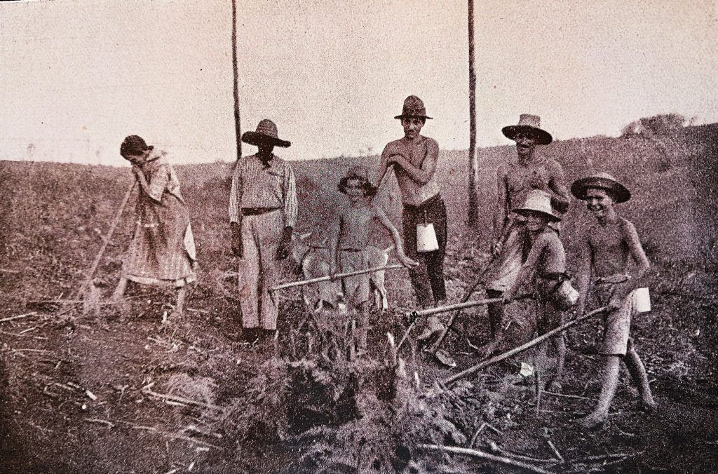Von Vorarlberg in den Urwald Brasiliens