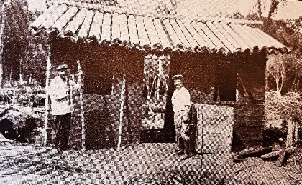 Von Vorarlberg in den Urwald Brasiliens