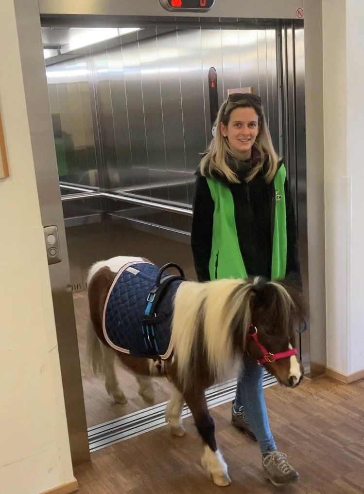 DankTier, tiergestützte Sozialpädagogik