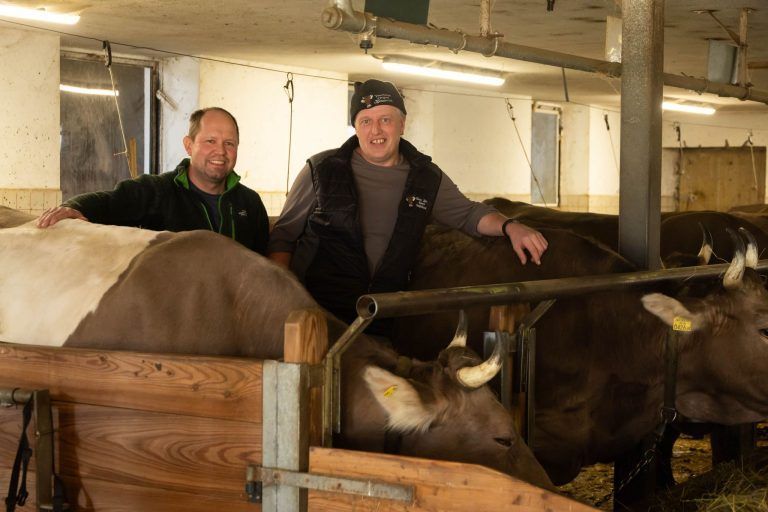 Ein Bauer klagt an: TBC bei Wild gefährdet unsere Landwirtschaft