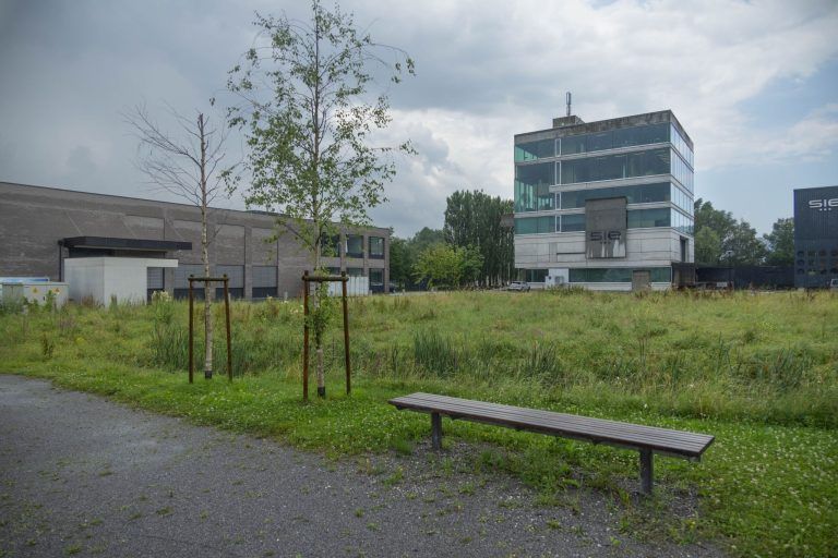 Freudenhaus droht erneute Herbergssuche