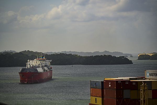 Deutlich mehr Salzwasserfische im Panamakanal