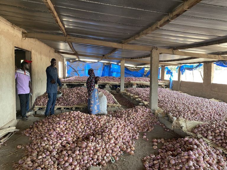 Entwicklungszusammenarbeit Burkina Faso, Michael König