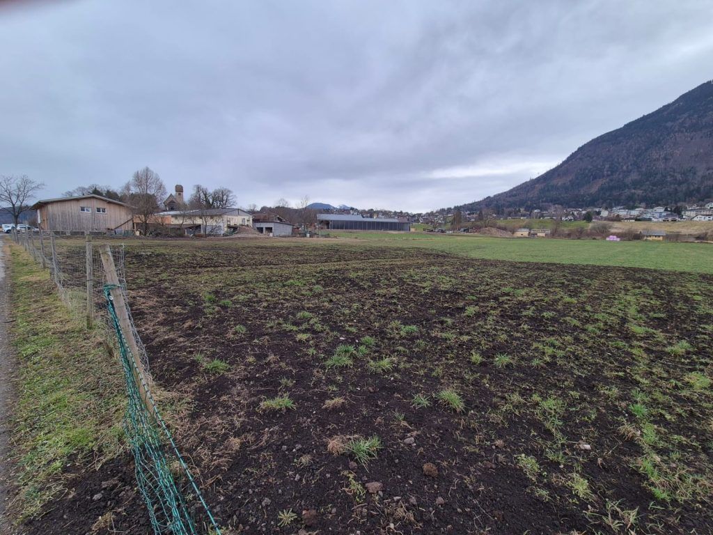 Deponieprojekt im Tisner Ried sorgt für Aufregung
