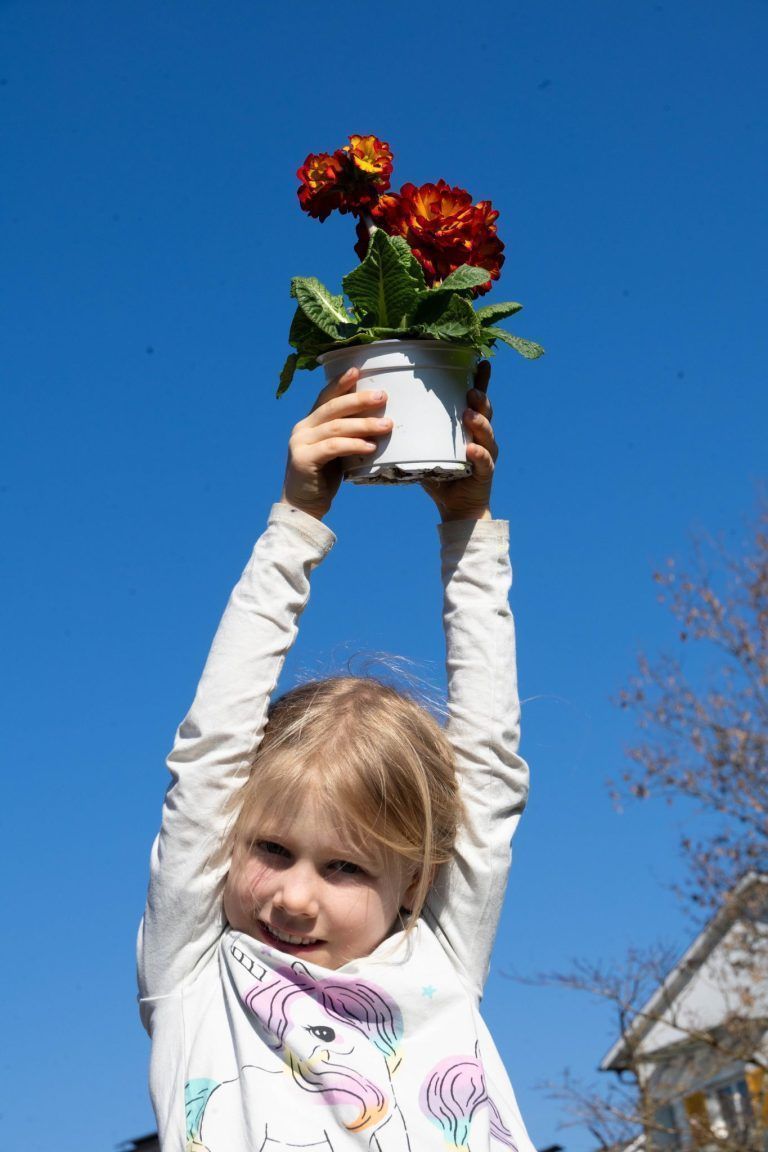 In diesem Garten trägt das Glück die Farben der Blumen