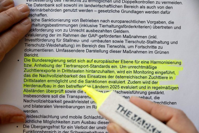"Wir haben nicht mit diesem Ausmaß gerechnet"