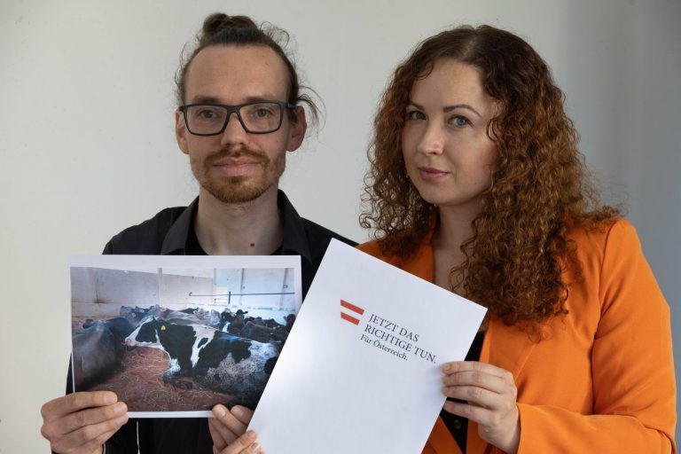 "Wir haben nicht mit diesem Ausmaß gerechnet"