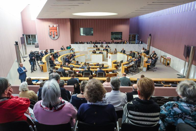 Kontrollrechte im Landtag: Ist der Tiger zahnlos?