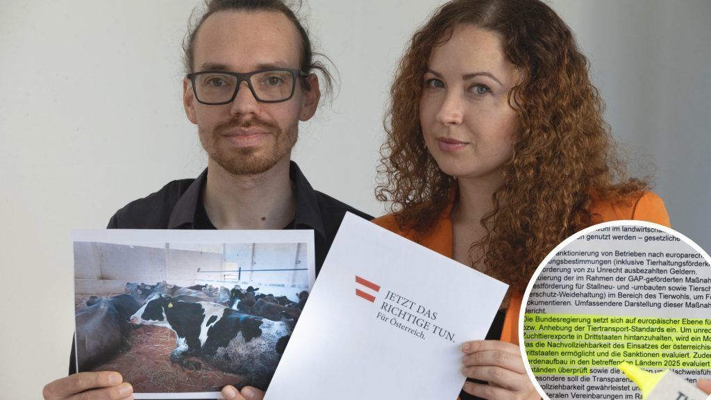 &#8220;Wir haben nicht mit diesem Ausmaß gerechnet&#8221;