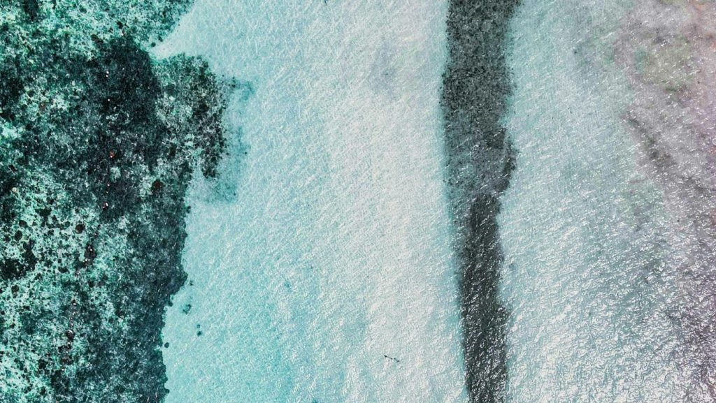Evangeliumkommentar: Im Blaugrund des Meeres