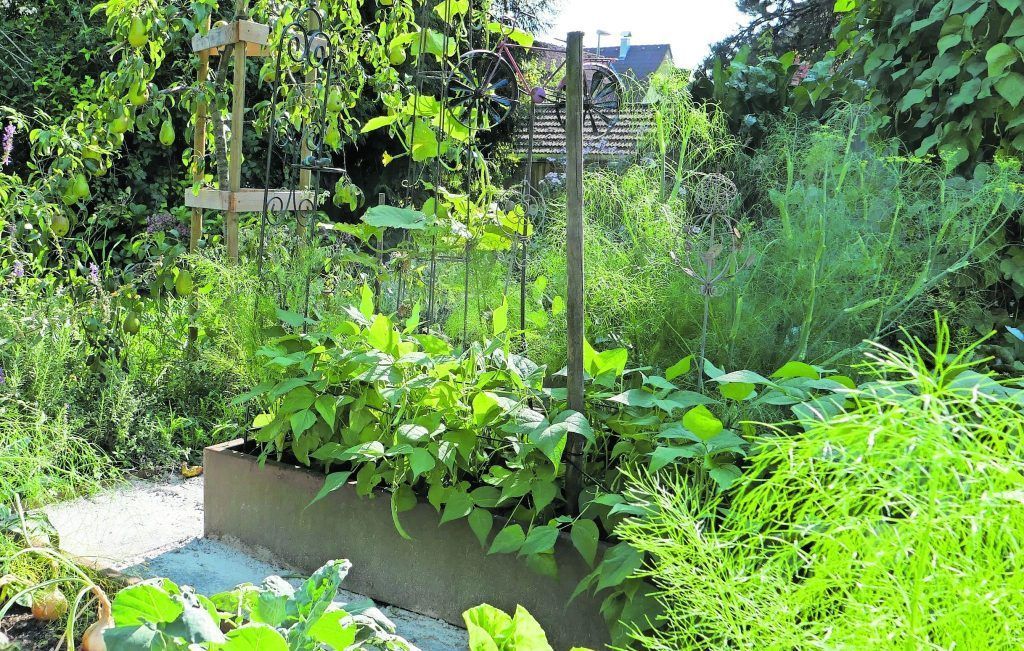 Naturnaher Garten für Mensch und Tier von A bis Z