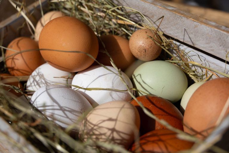 Hier ist das ganze Jahr über Ostern
