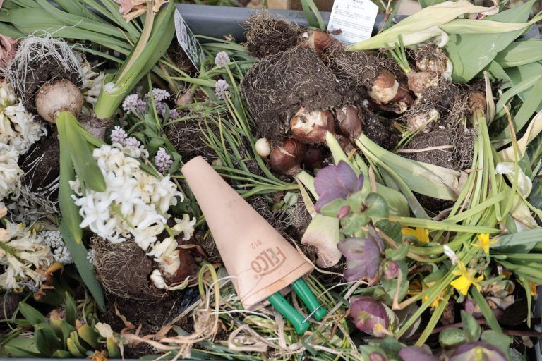 "Mein Garten soll ein Erlebnis werden"