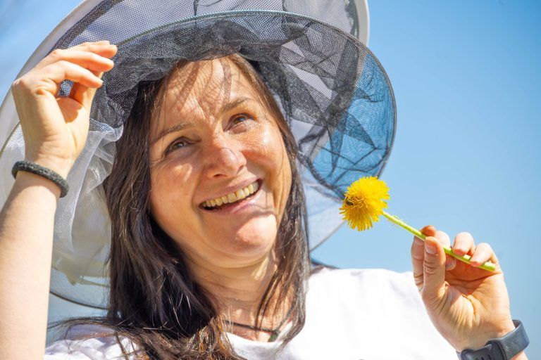 Wie wirkt sich Trockenheit auf unsere Bienen aus?